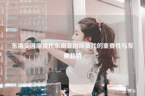 东南亚国际货代东南亚国际货代的重要性与发展趋势